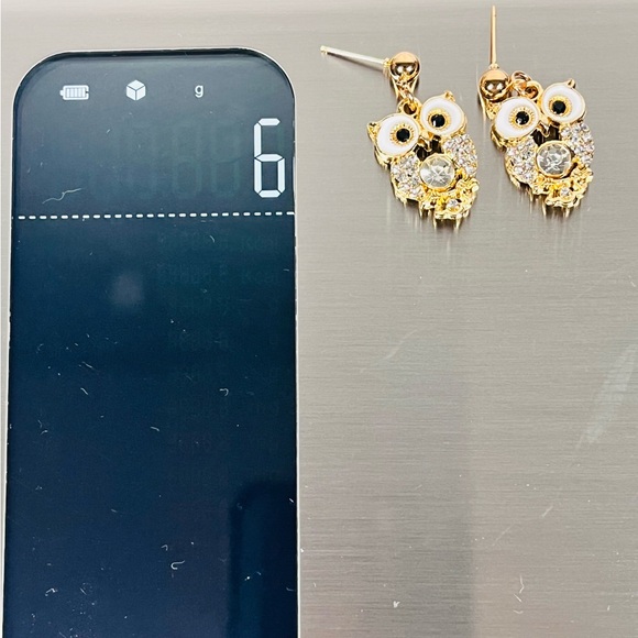 Owl Post Earrings - Picture 6 of 8